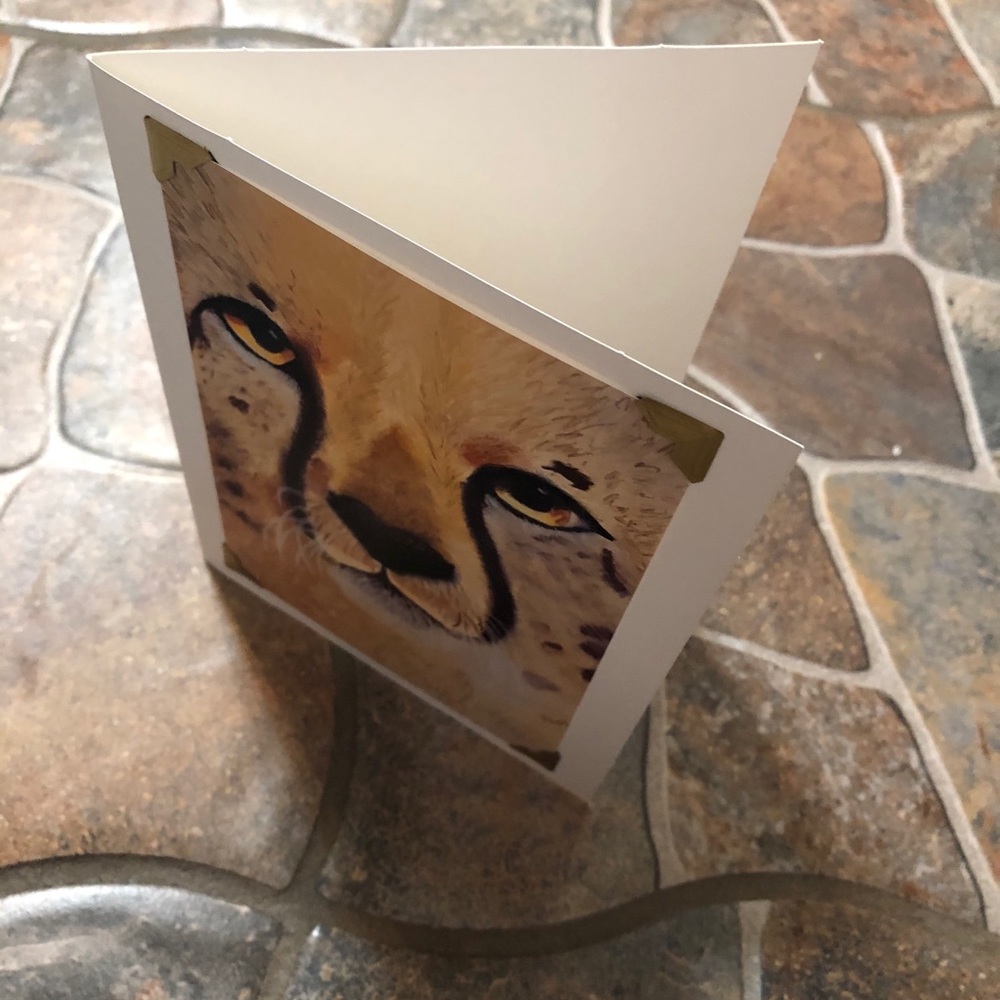 Greeting card ~cheetah~ - Picture 4 of 4